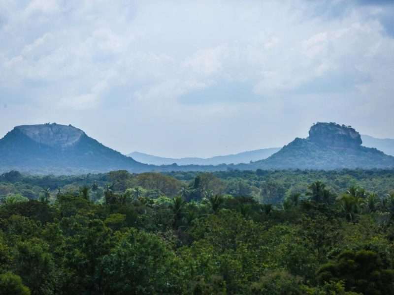 Kaveri Ayurveda Resort - Sigiriya