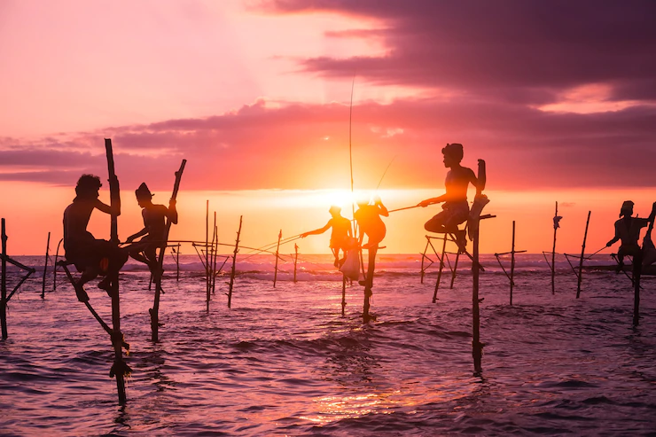 Stilt fishermen