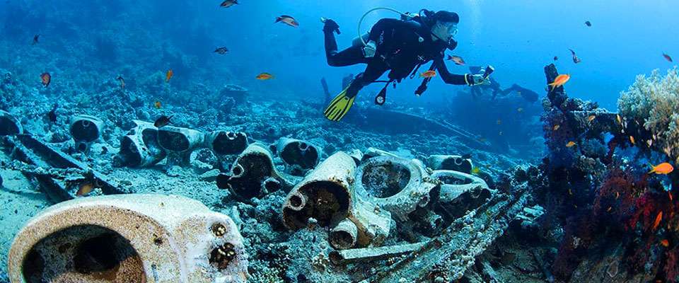 wreck and reef diving