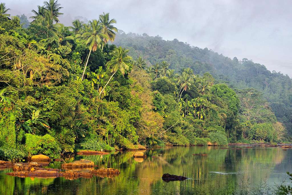 Discovering Kithulgala: The Ultimate Guide