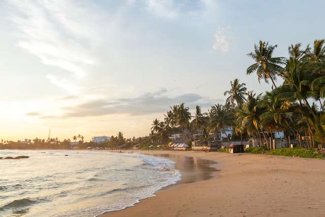 Mirissa A Serene Coastal Town in Sri Lanka
